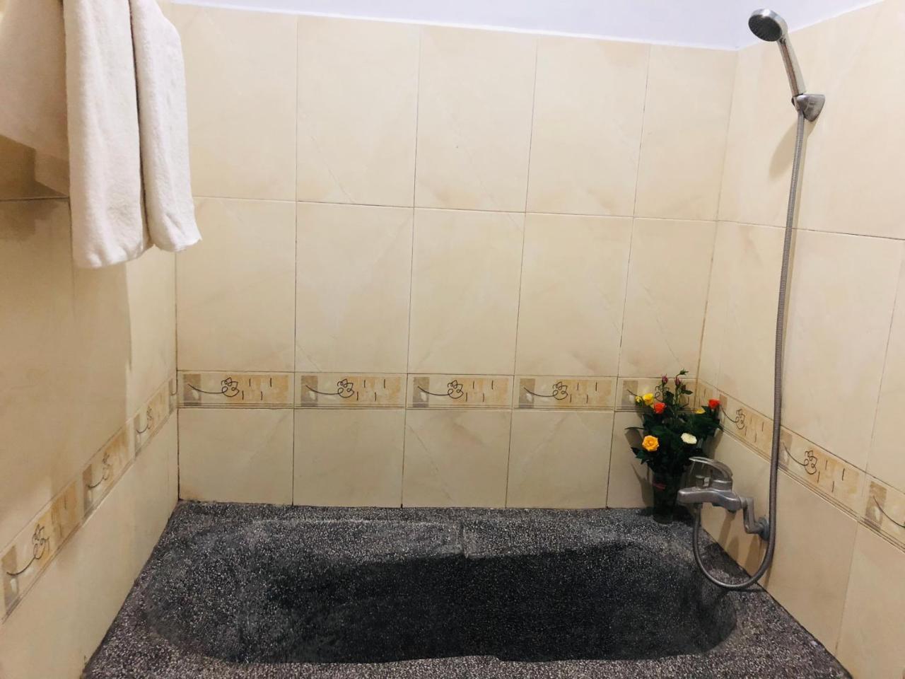 Sea Sun Homestay 会安 外观 照片