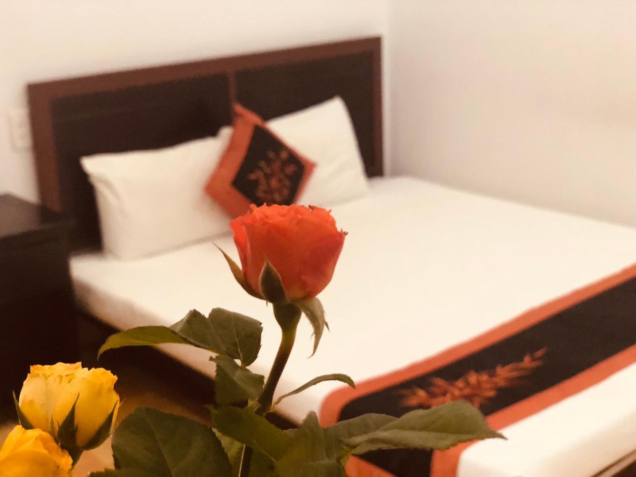 Sea Sun Homestay 会安 外观 照片
