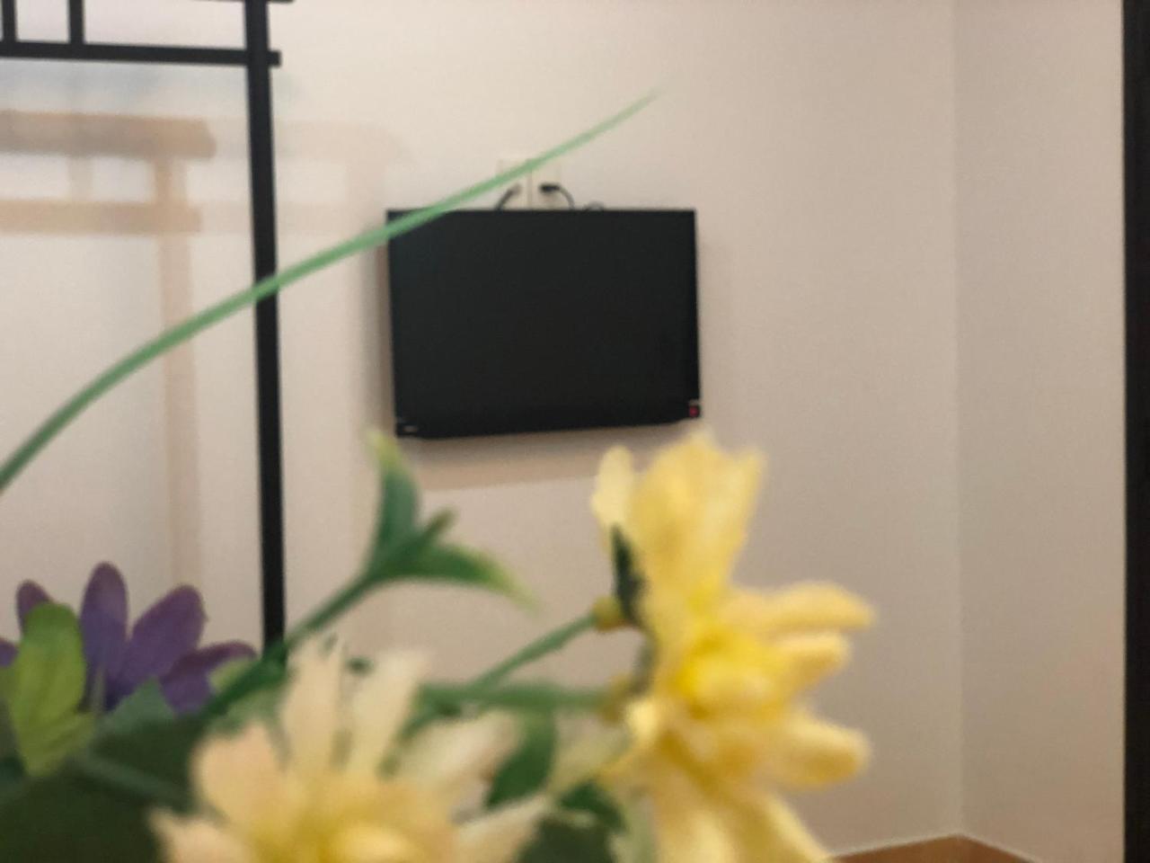Sea Sun Homestay 会安 外观 照片